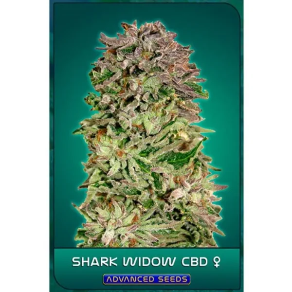 Shark Widow CBD Fem