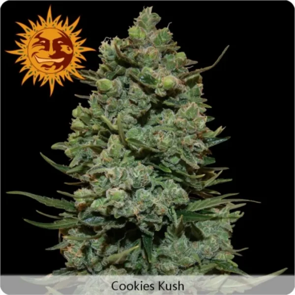 Cookies Kush Fem