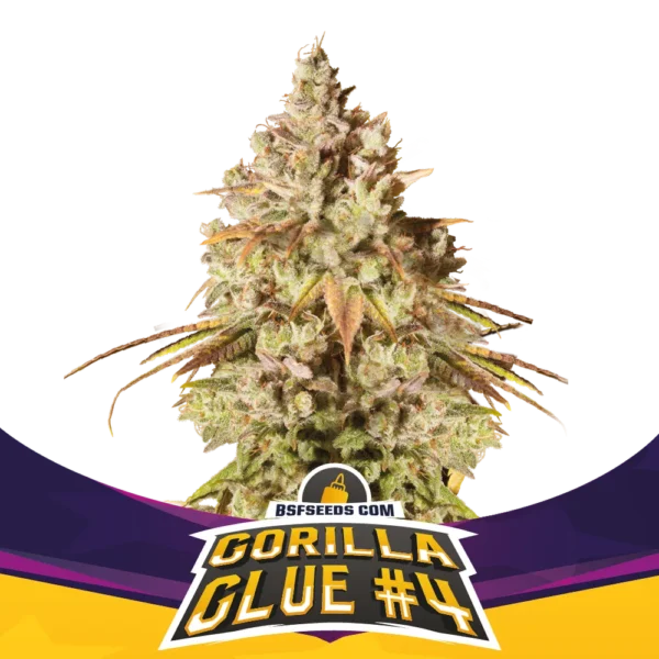 Gorilla Glue #4