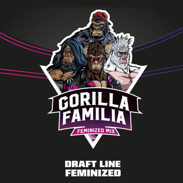 Gorilla Familia Feminized Mix 12Und