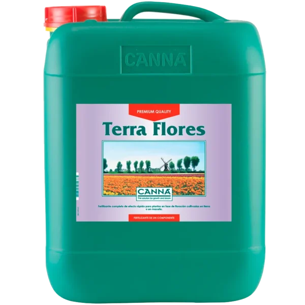 Canna Terra Flores