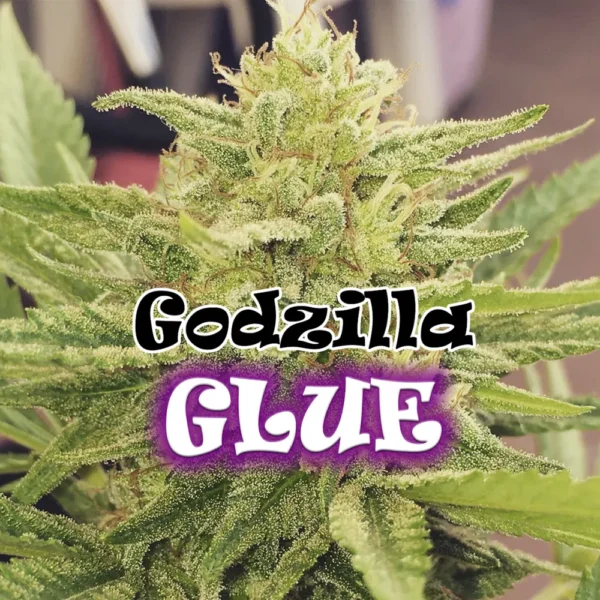 Godzilla Glue Fem.