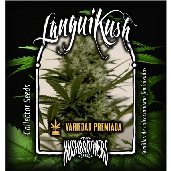 Langui Kush Fem