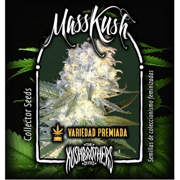 MassKush Fem