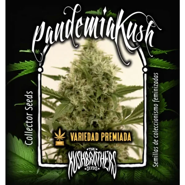 Pandemia Kush Fem