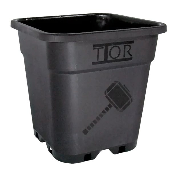 Maceta Greenvass Thor Cuadrada Negra (31x31x31,6) 18L