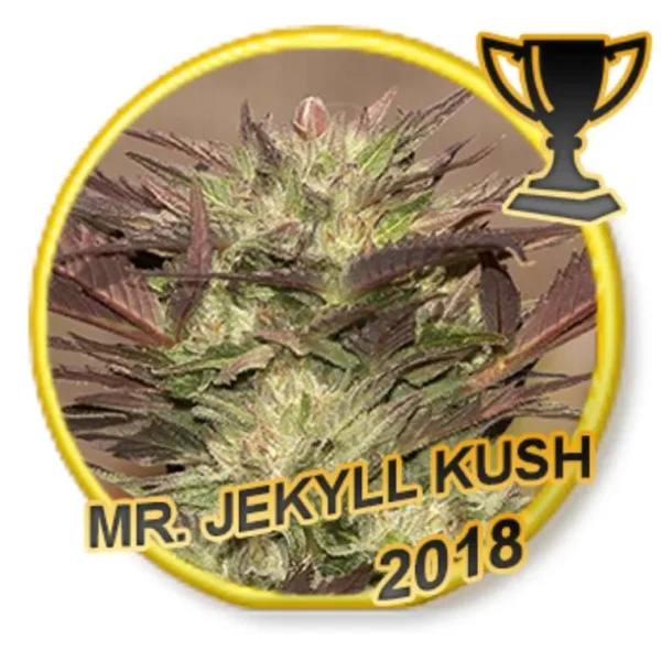 Mr. Jekyll Kush Fem.