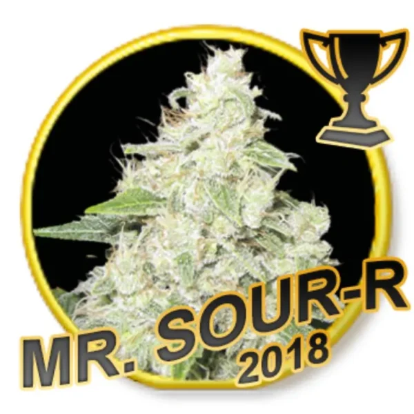 Mr. Sour-R  Fem.