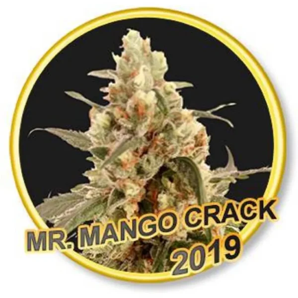 Mr. Mango Crack Fem.