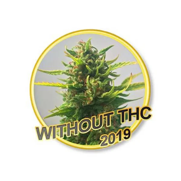 Without THC CBD