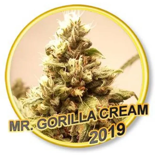 Mr. Gorilla Cream Fem.