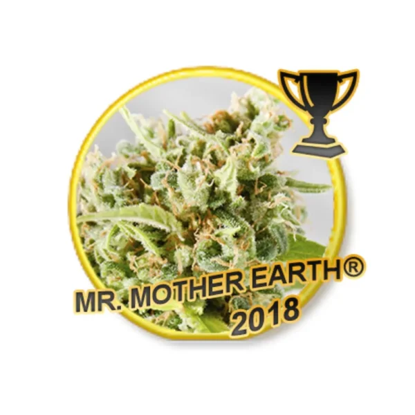 Mr. Mother Earth Reg