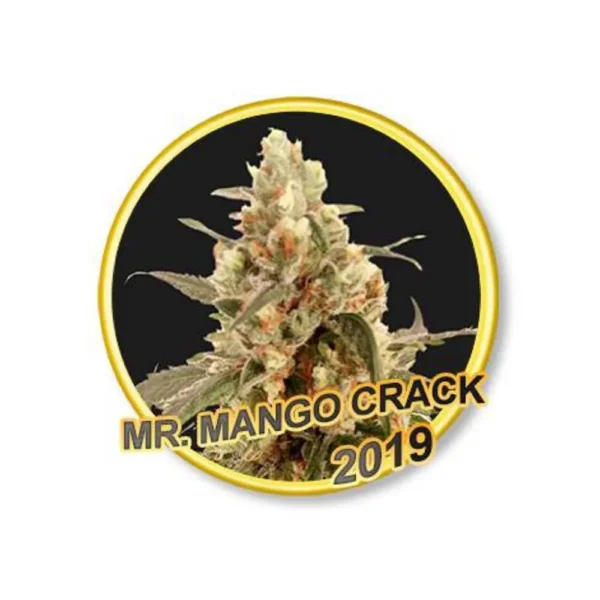 Mr. Mango Crack Reg