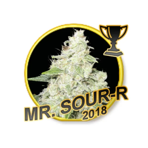 Mr. Sour-R Reg