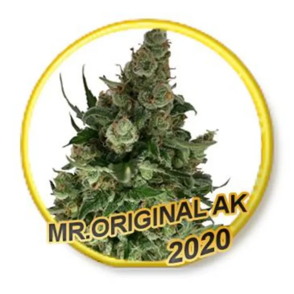 Mr. Original AK Fem.