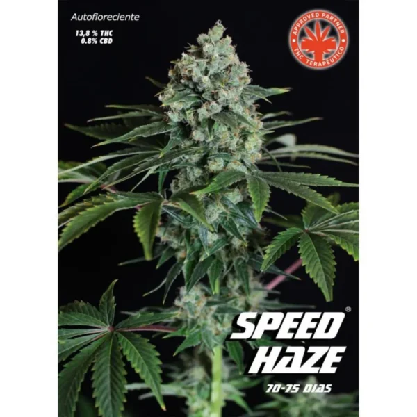 Speed Haze Auto