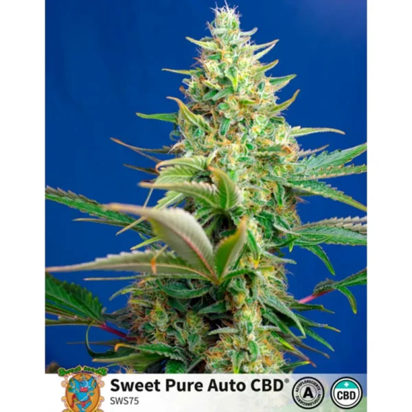 Auto Sweet Pure CBD