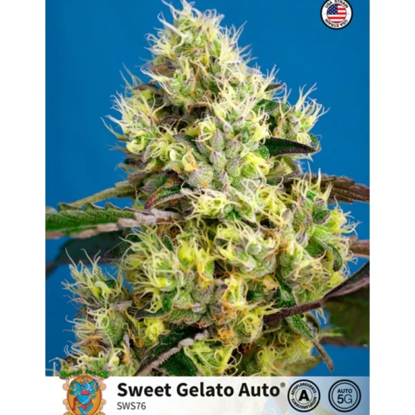 Auto Sweet Gelato