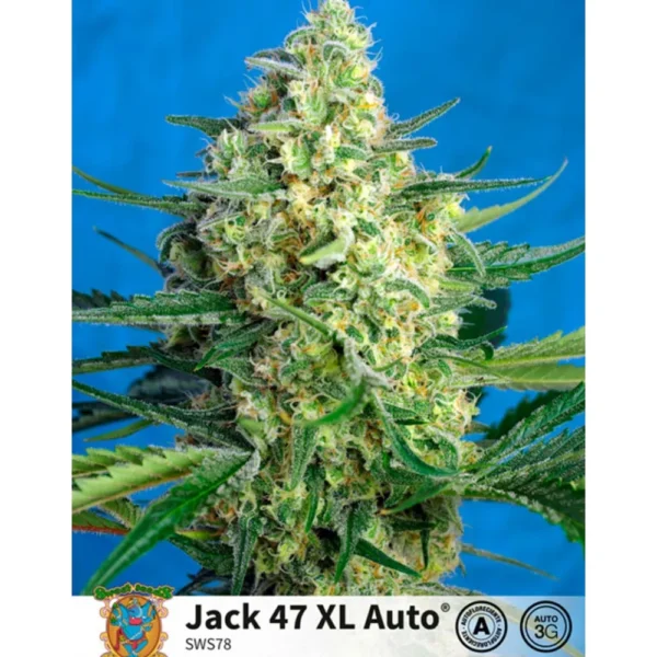 Auto Jack 47 XL