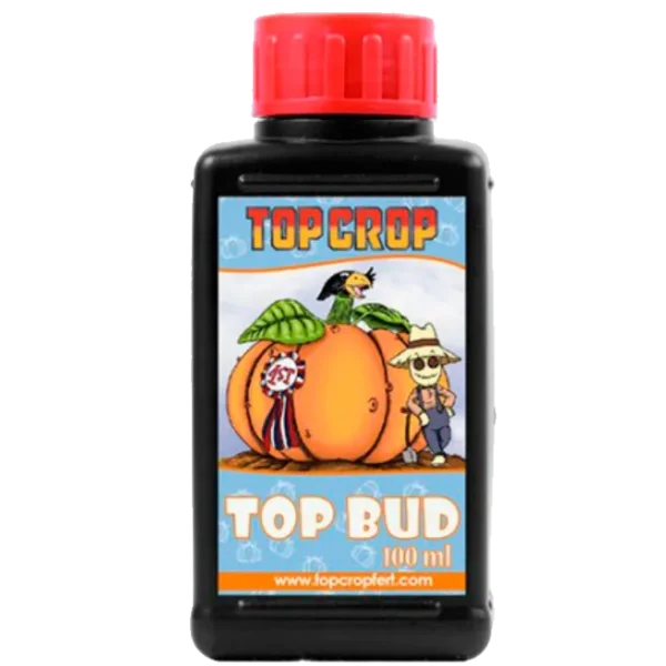 Top Crop Top Bud