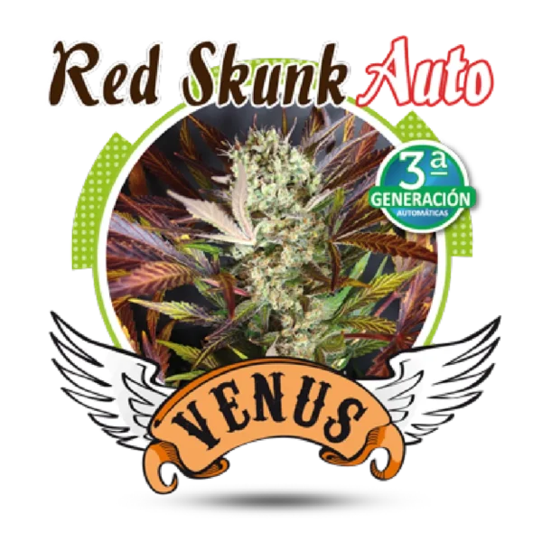 Red Skunk Auto