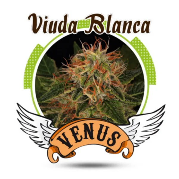 Viuda Blanca CBD Fem